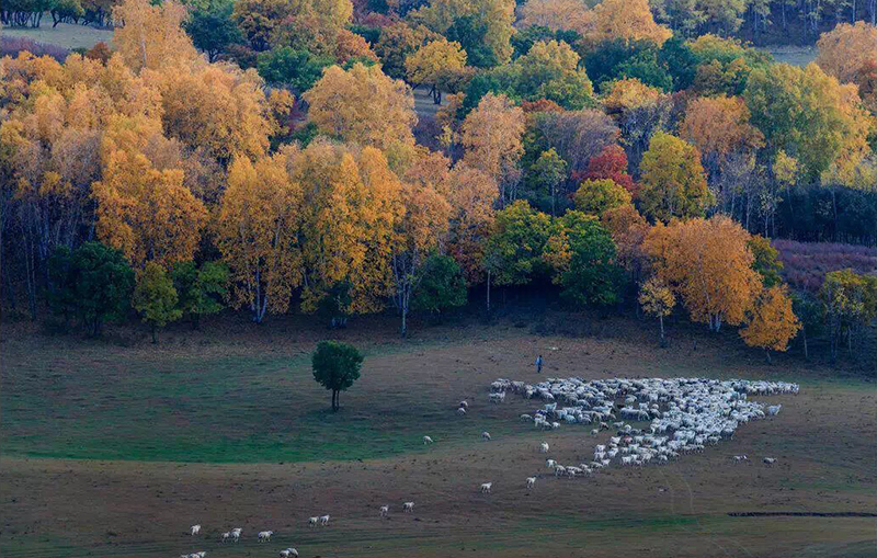 9999.jpg 海創(chuàng)集成墻面.jpg