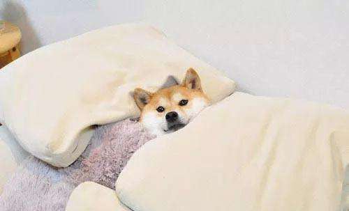 timg (4).jpg 海創(chuàng)集成墻面.jpg