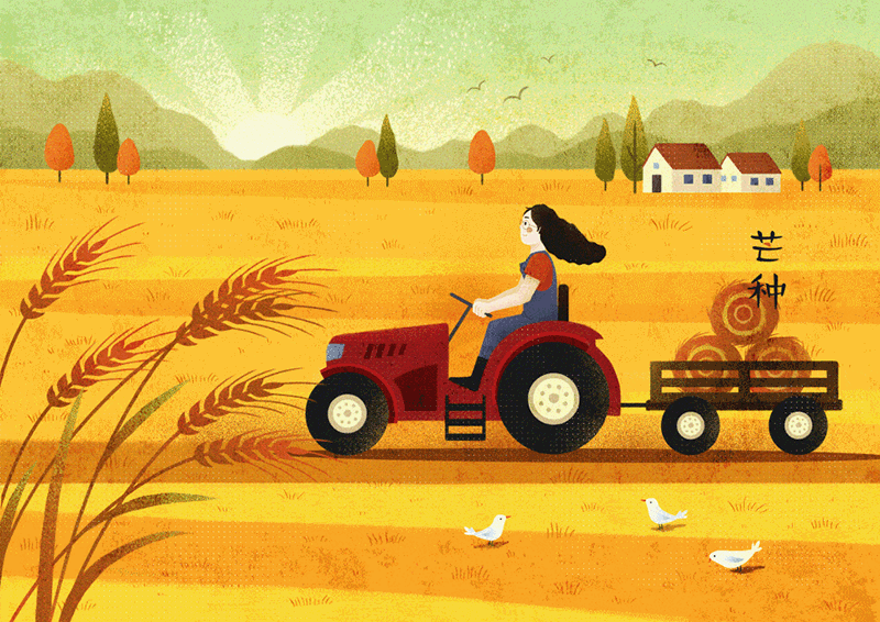 mangzho.gif mangzho.gif