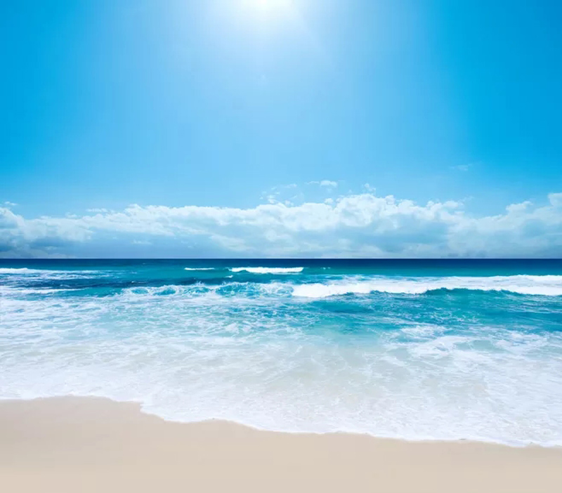 webp.webp (2).jpg webp.webp (2).jpg