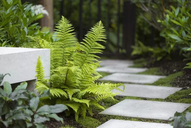 webp.webp (1).jpg webp.webp (1).jpg