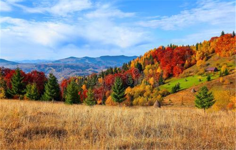海創(chuàng)集成墻面 海創(chuàng)集成墻面