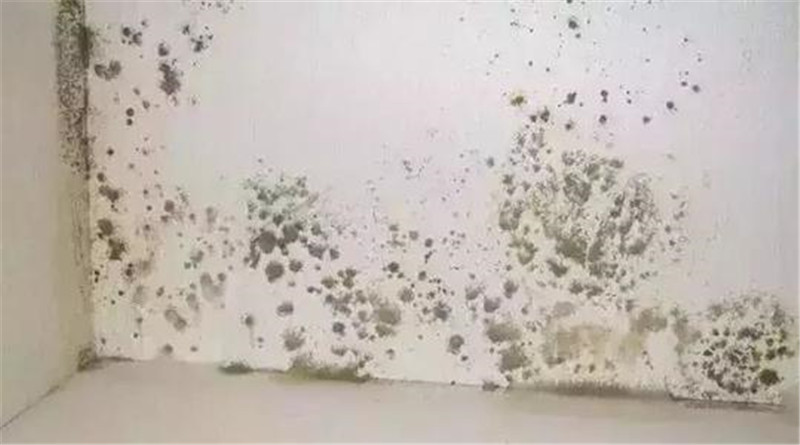 海創(chuàng)集成墻面 海創(chuàng)集成墻面