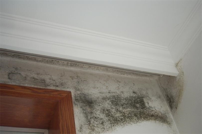 海創(chuàng)集成墻面 海創(chuàng)集成墻面