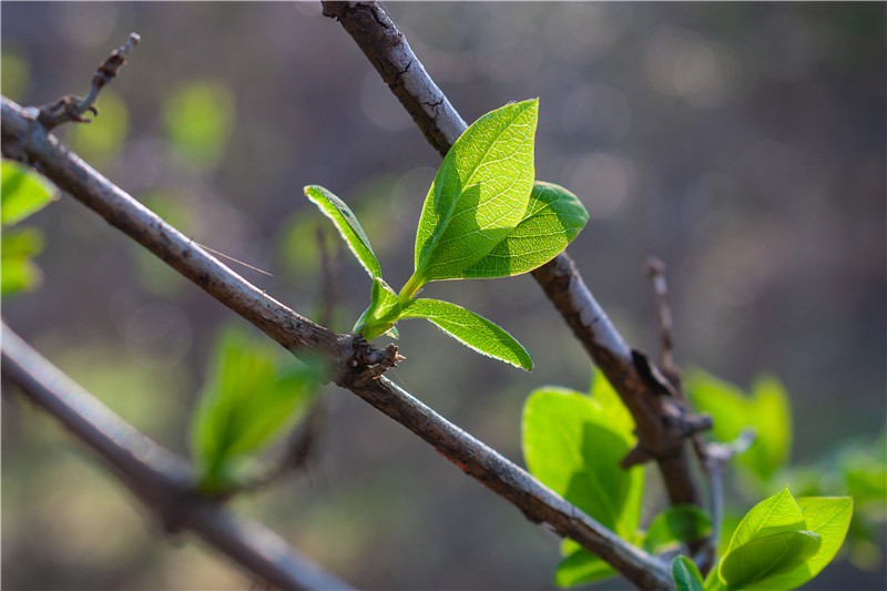 海創(chuàng)集成墻面 海創(chuàng)集成墻面