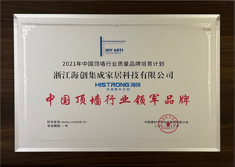 中國頂墻行業(yè)領(lǐng)軍品牌.jpg