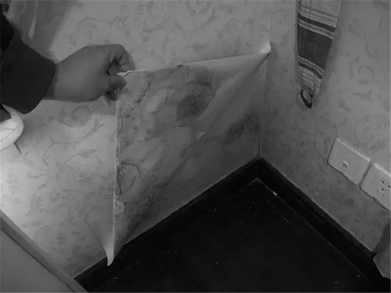 src=http___imgs.bzw315.com_UploadFiles_image_2017_2_20_201702201428536870.jpg&refer=http___imgs.bzw315.webp.jpg src=http___imgs.bzw315.com_UploadFiles_image_2017_2_20_201702201428536870.jpg&refer=http___imgs.bzw315.webp.jpg