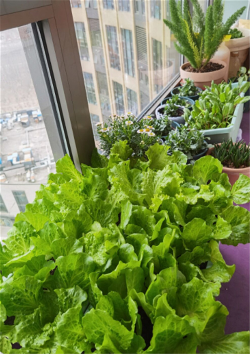 3cbd122c7fe77102dba75e7d04b15b2.jpg 3cbd122c7fe77102dba75e7d04b15b2.jpg